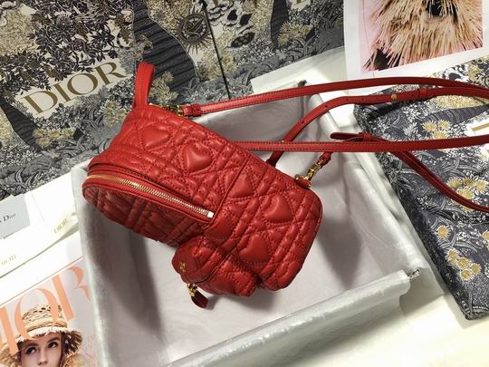 Dior Backpack M9222 16x21x8.5cm wz (2)