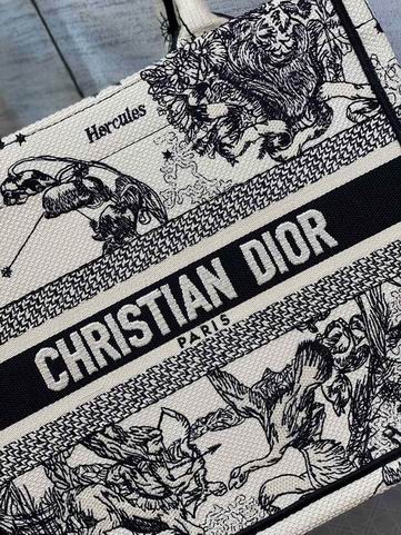 Dior Book Tote26x8x22cm wz (15)