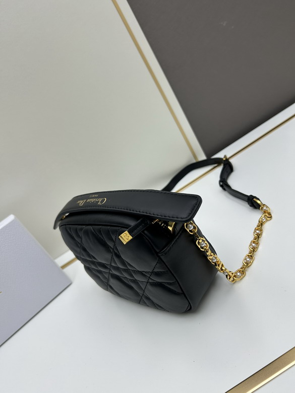 Dior Caro 1678 19x13x4 5cm jj_3