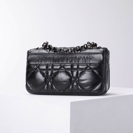 Dior Caro 2023 20x12x7cm wz (4)