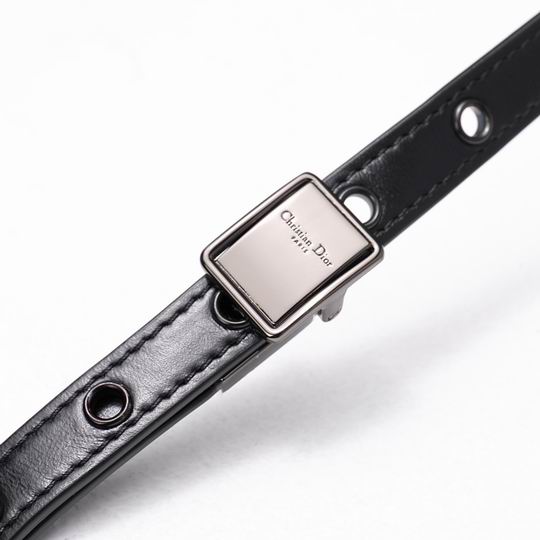 Dior Caro 2023 20x12x7cm wz (7)