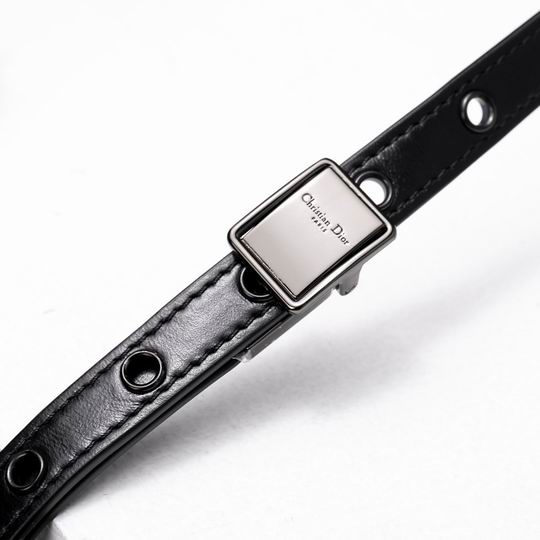 Dior Caro 2023 L28x17x9cm wz (8)