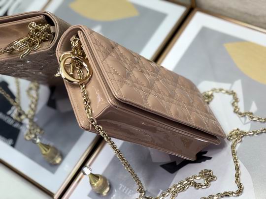 Dior D6602漆皮藤格纹 22x12x3cm wz (24)