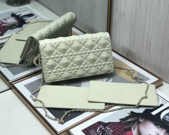Dior D6702钻石压纹 22x12x3cm wz (1)