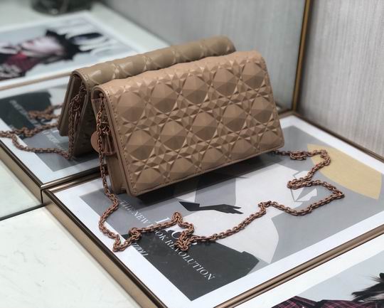 Dior D6702钻石压纹 22x12x3cm wz (20)