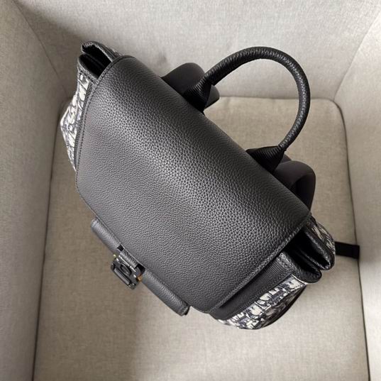 Dior D8533 29x42x15cm wo (4)