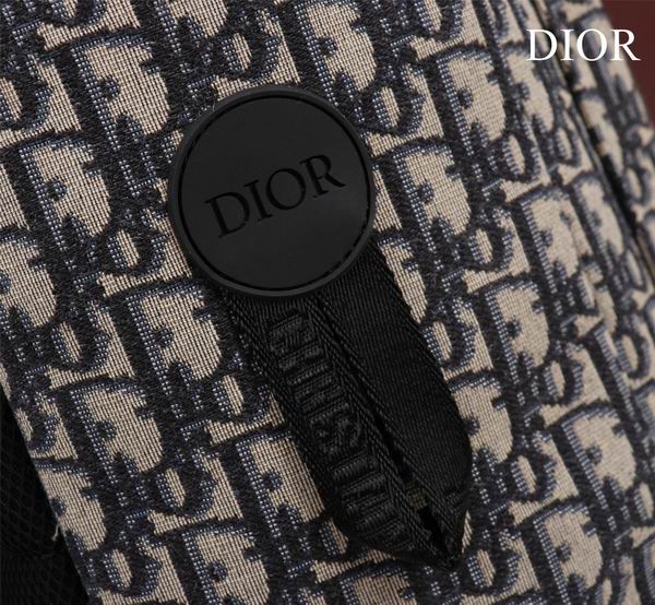 Dior Explorer 012 42x30x14.5cm yz (5)