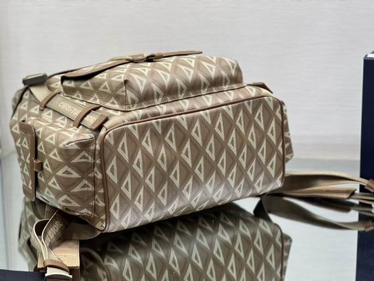 Dior Hit the Road 43x51x20cm wz (4)