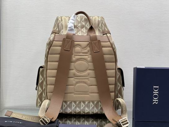 Dior Hit the Road 43x51x20cm wz (6)