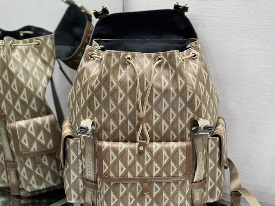 Dior Hit the Road 43x51x20cm wz (7)