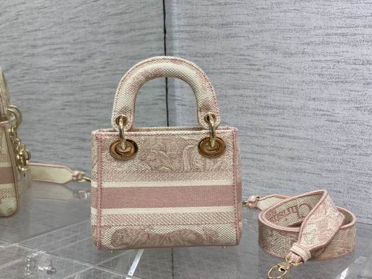 Dior Lady豹纹 丛林刺绣 17cm wz5色 (12)