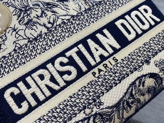 Dior Lady豹纹 丛林刺绣 17cm wz5色 (24)