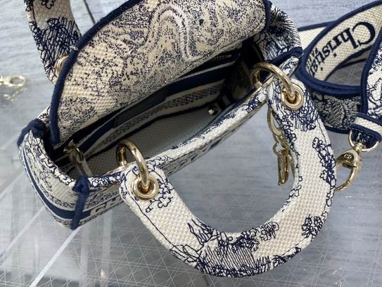 Dior Lady豹纹 丛林刺绣 17cm wz5色 (27)