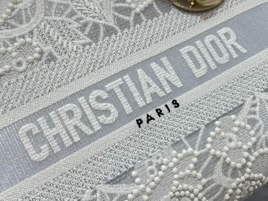 Dior Lady透明网白6814 24cm wz (7)