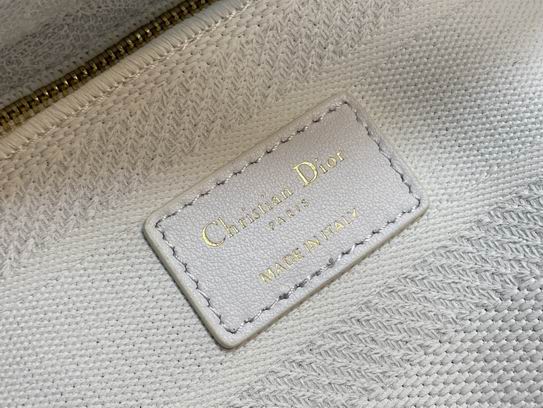 Dior Lady透明网白6814 24cm wz (8)