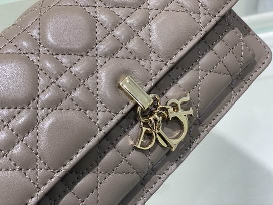 Dior Lady 19.5x12.5x5cm wo (14)