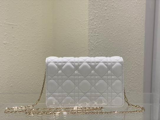 Dior Lady 19.5x12.5x5cm wo (22)