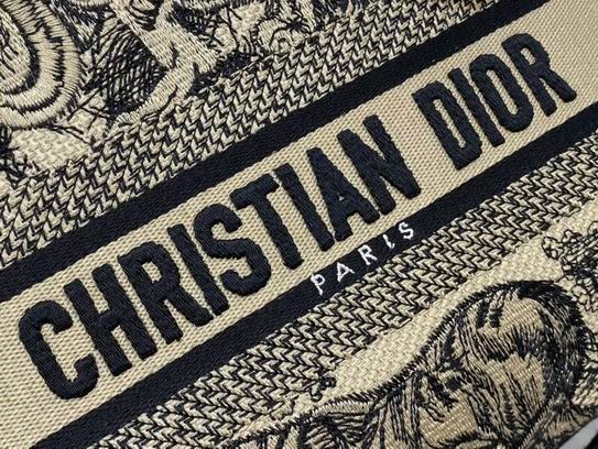 Dior Lady 24cm wz1 (7)