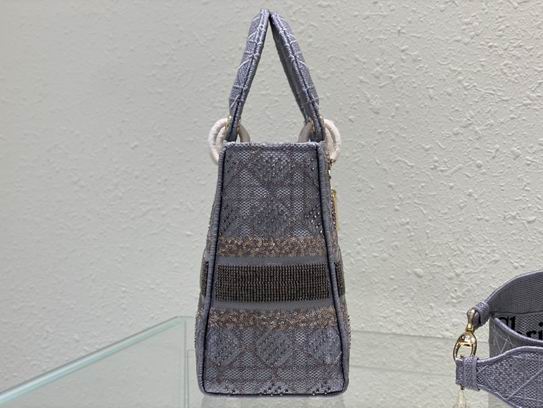 Dior Lady 24cm yz (21)