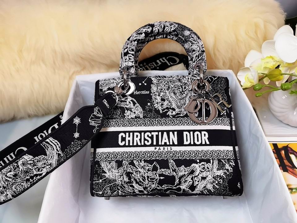 Dior Lady 24x20x11cm yz1 (1)