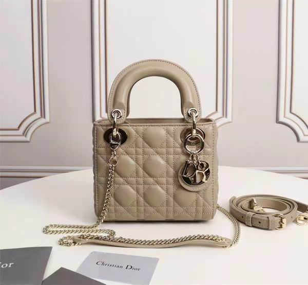 Dior Lady 6633 17x15cm wo (1)