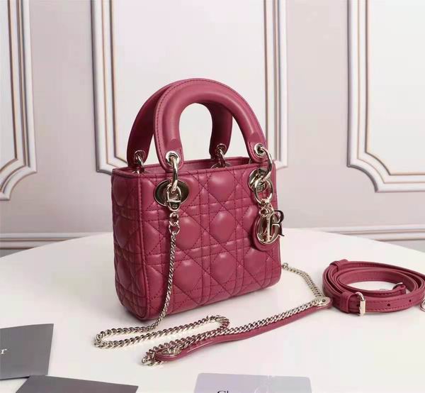 Dior Lady 6633 17x15cm wo (20)