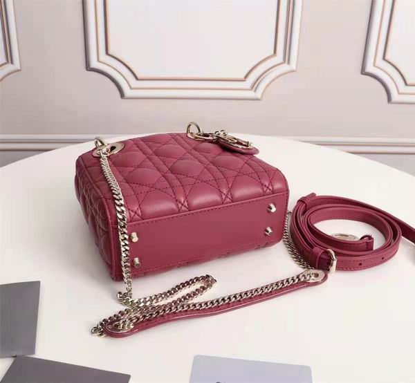 Dior Lady 6633 17x15cm wo (21)