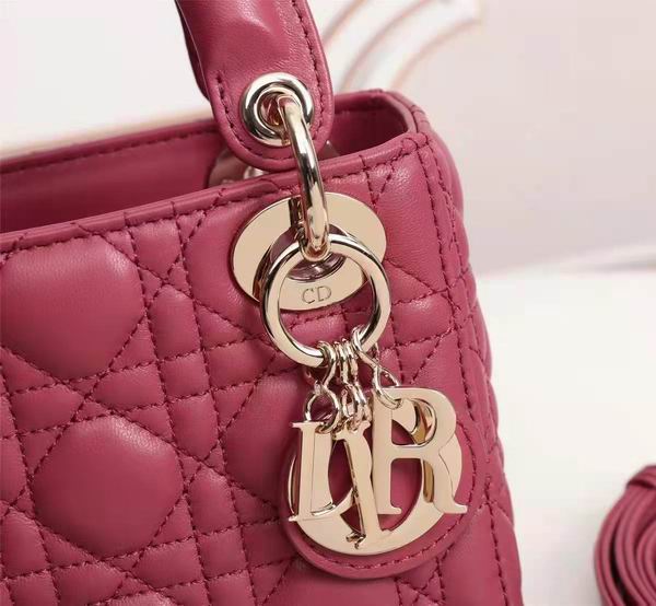 Dior Lady 6633 17x15cm wo (23)