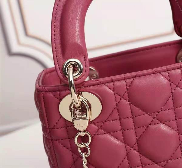 Dior Lady 6633 17x15cm wo (24)