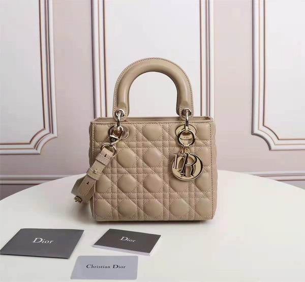 Dior Lady 6644 20X17x9cm wo (1)