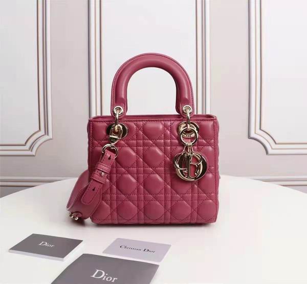 Dior Lady 6644 20X17x9cm wo (37)