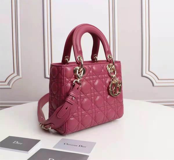 Dior Lady 6644 20X17x9cm wo (38)