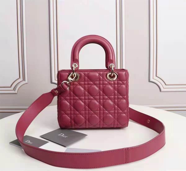 Dior Lady 6644 20X17x9cm wo (39)