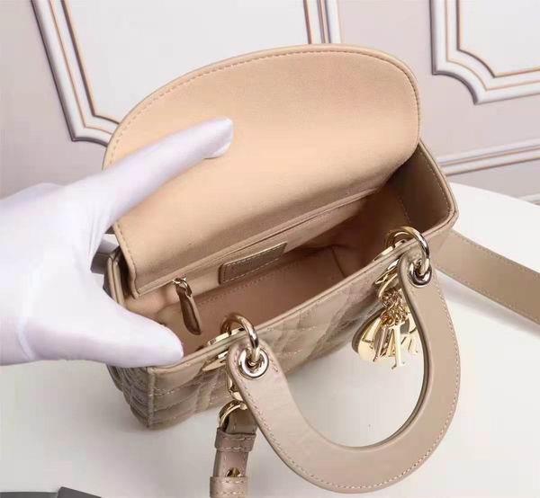 Dior Lady 6644 20X17x9cm wo (9)