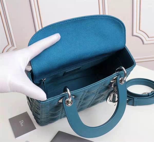 Dior Lady 6655 24cm wo (26)