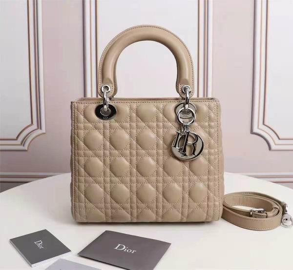Dior Lady 6655 24cm wo (37)