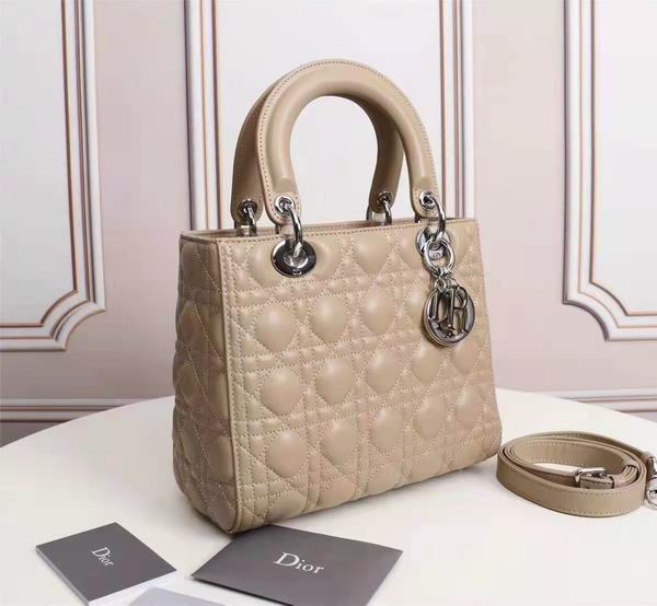 Dior Lady 6655 24cm wo (38)
