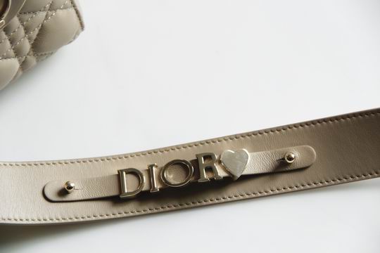 Dior Lady 8878 20x16.5x8cm wo (18)