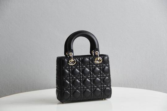 Dior Lady 8878 20x16.5x8cm wo (38)