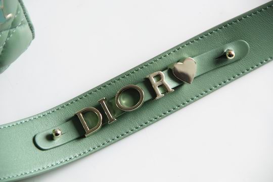 Dior Lady 8878 20x16.5x8cm wo (6)