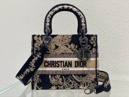 Dior Lady D-Lite 24cm wz (2)