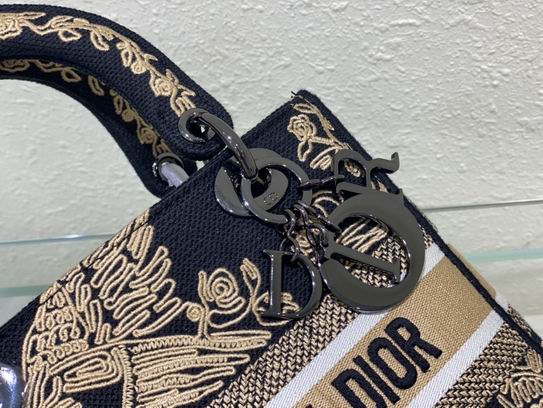 Dior Lady D-Lite 24cm wz (6)