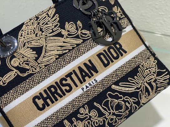 Dior Lady D-Lite 24cm wz (7)