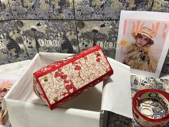 Dior Lady D-Lite M0565 24x20x11cm wz (21)