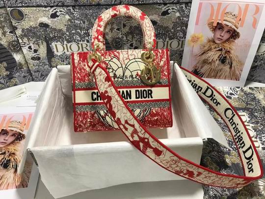 Dior Lady D-Lite M0565 24x20x11cm wz (23)