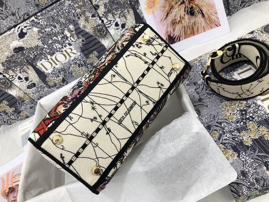 Dior Lady D-Lite M0565 24x20x11cm wz (29)