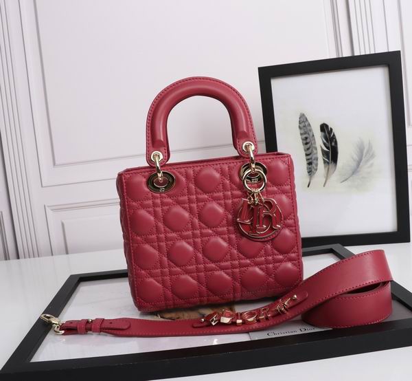 Dior Lady D6806-1 20x16.5x8cm wo (19)
