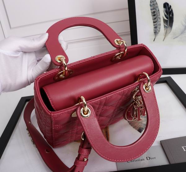 Dior Lady D6806-1 20x16.5x8cm wo (24)