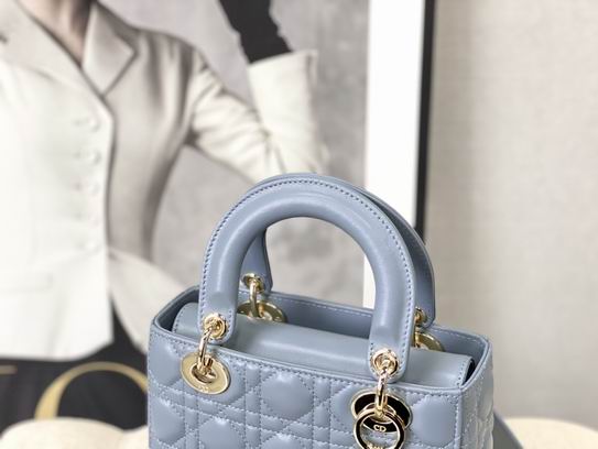 Dior Lady M0539 20x16.5x8cm wo (6)