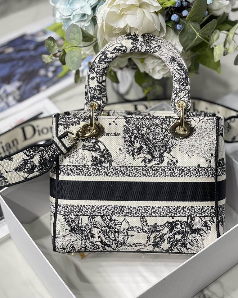 Dior Lady M8002 24x20x11cm yz (4)